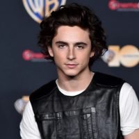 Timothée Chalamet: A Portrait of the Rising Star