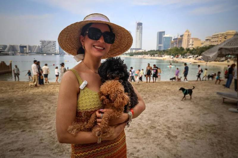 Dubai Residents and Expats Enjoy Barkfest Amid Middle East Conflict